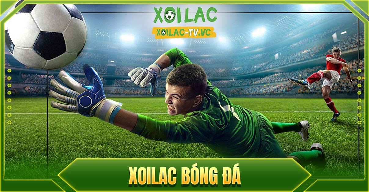 Xôi lạc tv - Điểm đến hàng đầu cho trải nghiệm xem bóng đá cùng xoilac-tvv.pro